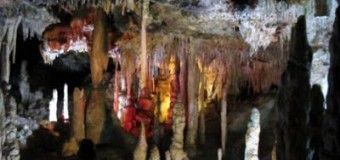 Cuevas del Drach vs Cuevas dels Hams en Mallorca