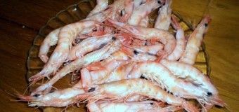 Gambas de Huelva, placer para el paladar