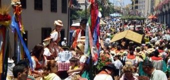 Romeria de San Isidro Labrador en La Orotava