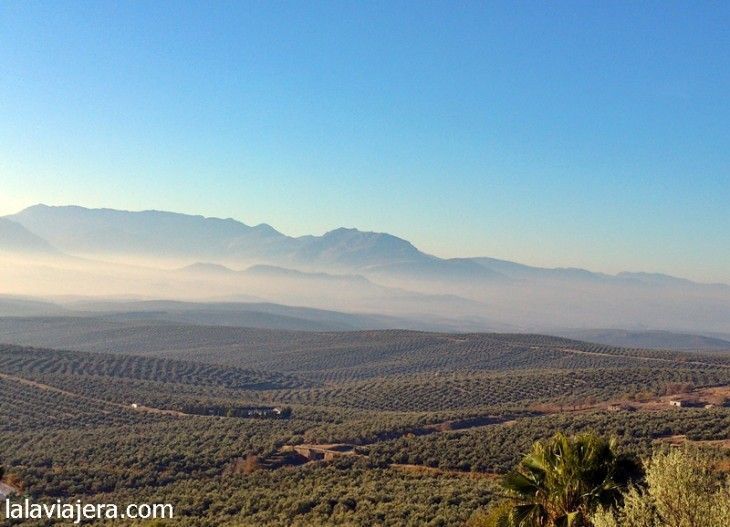 El mar de Olivos de Jaén desde los Cerros de Úbeda