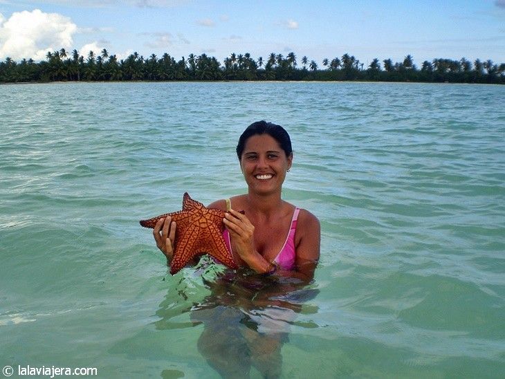 Estrellas de mar al alcance de tu mano en Isla Saona