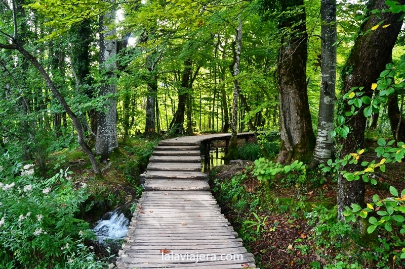 Pasarelas de acceso al Parque Nacional de los Lagos de Plitvice