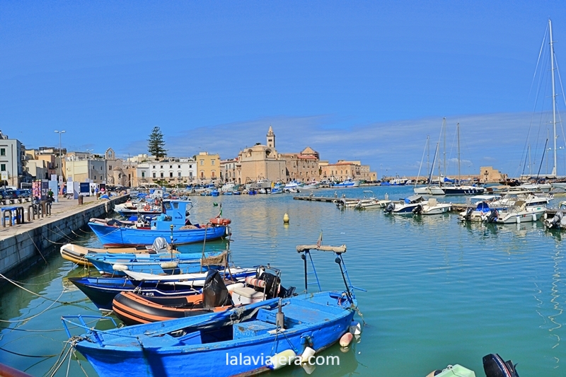 Panorámica de Trani, puerto y catedral