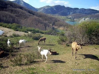museo de la fauna salvaje, Valdehuesa Boñar
